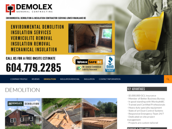 Demolex Inc. / Demolition & Insulation Removal