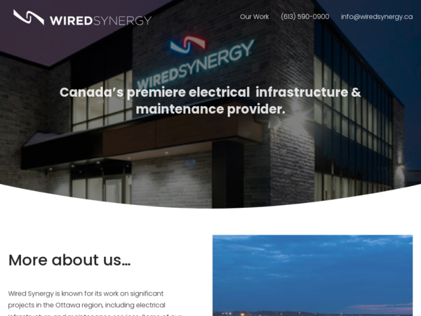 Wired Synergy Inc