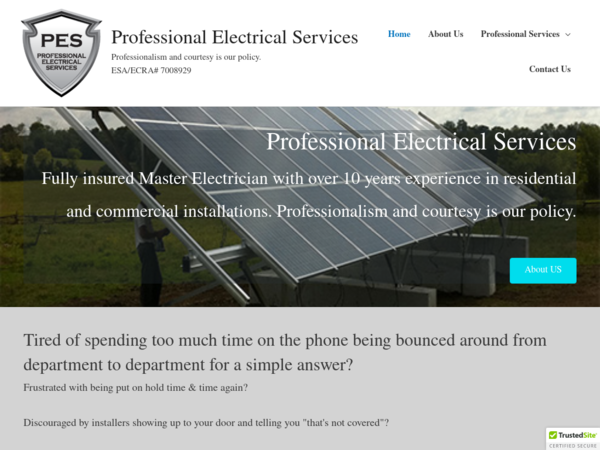 Professional Electrical Services
