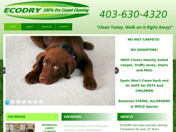 Ecodry Carpet Cleaning