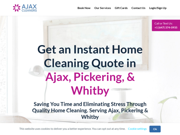 Ajax Cleaners