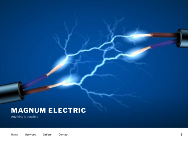 Magnum Electric