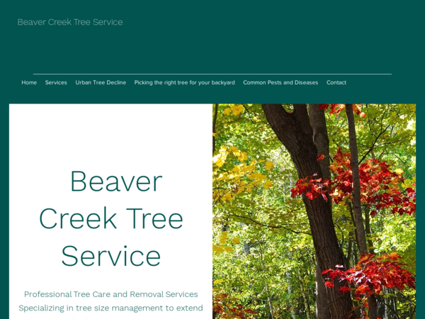 Beaver Creek Tree Service