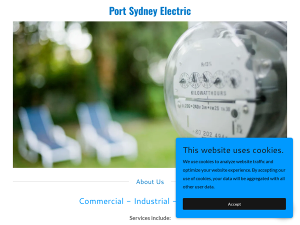 Port Sydney Electric