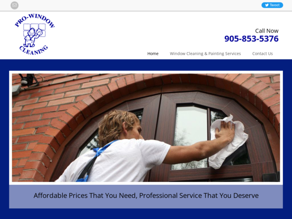 Pro-Window Cleaning