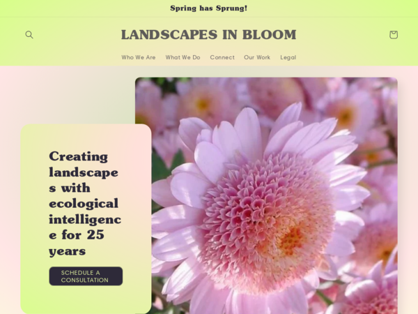 Landscapes In Bloom